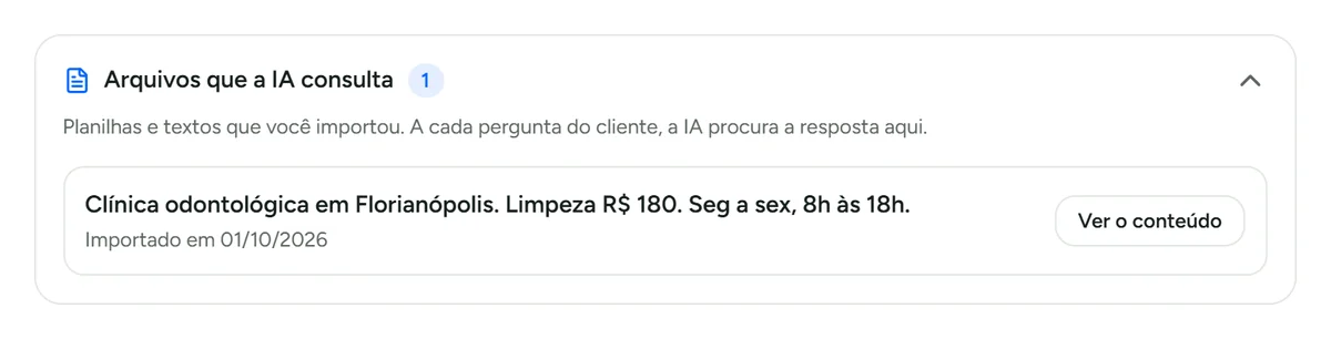 Arquivos importados para o Cérebro que a IA consulta por busca